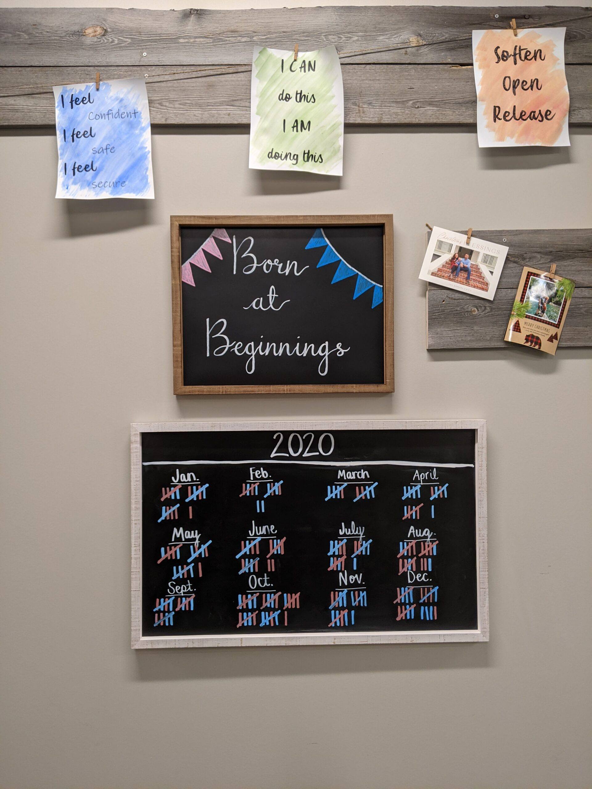 2020 Statistics for Beginnings Birth Center